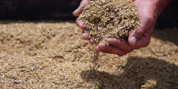 微信截圖_20221229095500