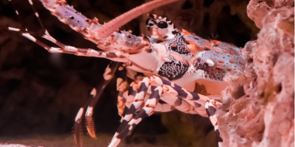 微信截圖_20230407084326