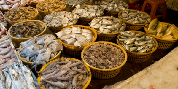 微信截圖_20230406091836