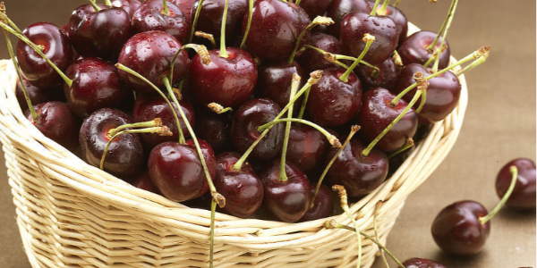 澳大利亞車厘子預(yù)計減產(chǎn)15%，出口量減少兩成