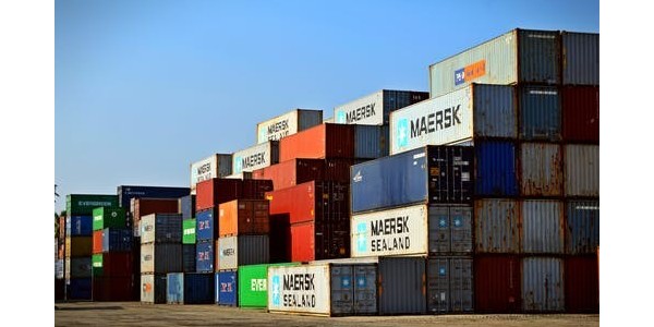 進口報關(guān)|【海關(guān)發(fā)布】塞爾維亞鮮食藍(lán)莓進口小貼士