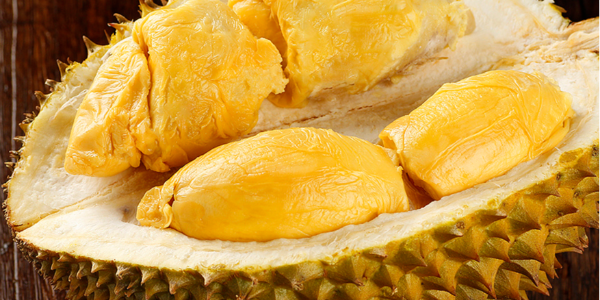 微信截圖_20230113103149