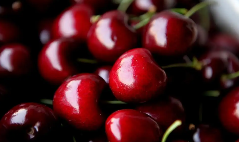 前4月車?yán)遄訛橹抢迈r水果出口冠軍 九成銷往中國(guó)