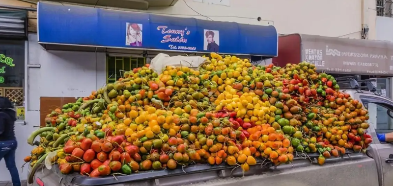 微信截圖_20220615085318