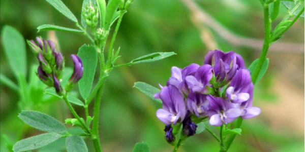 QQ截圖20221221105656