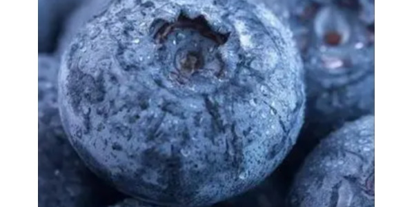 微信截圖_20230128102449