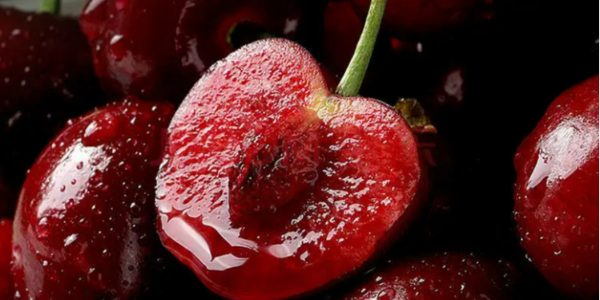 南非：Transnet與水果出口商會面以避免出口災(zāi)難