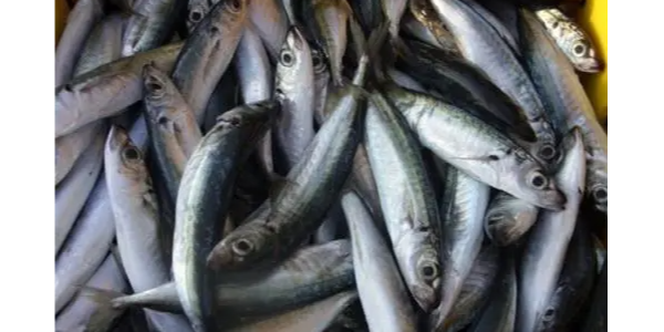 微信截圖_20230423091404