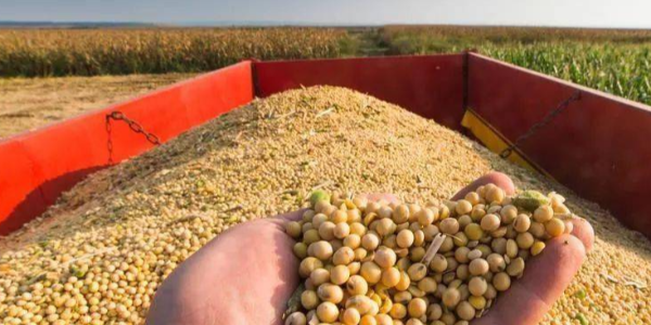 微信截圖_20230314084346