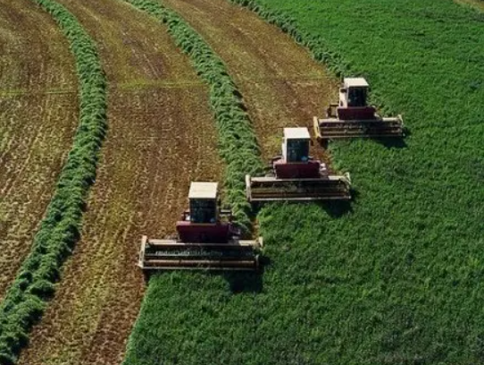 微信截圖_20220609104918