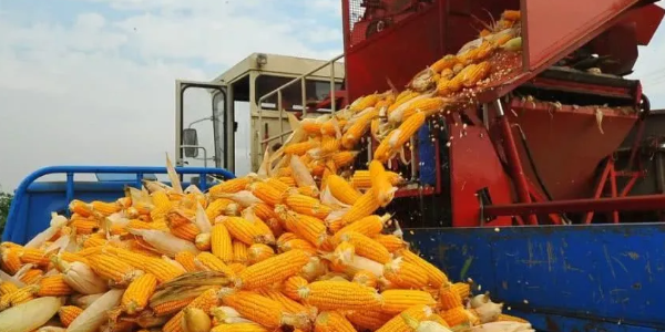 微信截圖_20230210100128