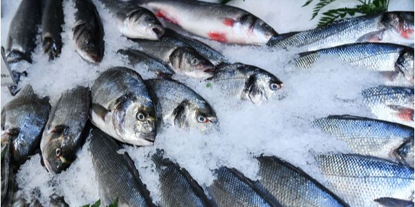 微信截圖_20230210100339