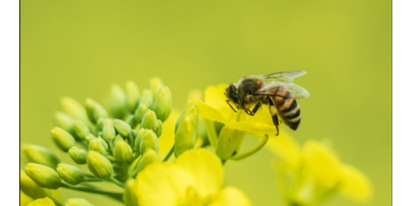 微信截圖_20221227102243