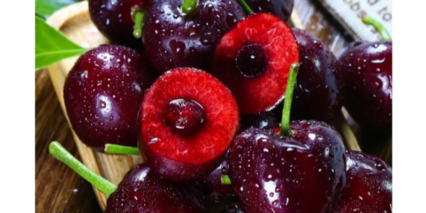 微信截圖_20230410085508