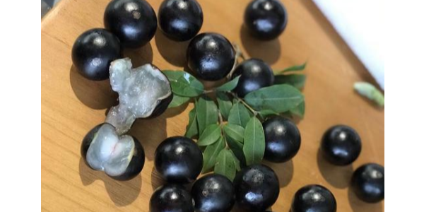 微信截圖_20230410083519