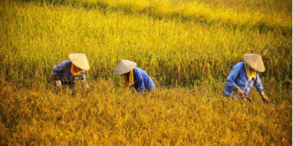 微信截圖_20230410085208