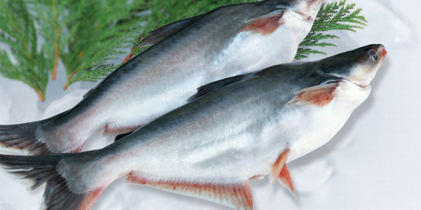 微信截圖_20230105105059