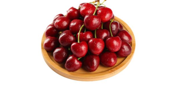 微信截圖_20230119093225