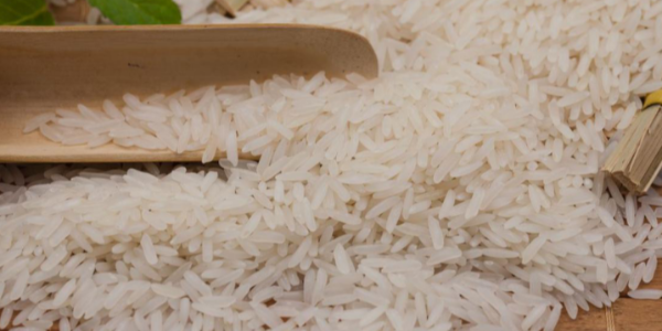 微信截圖_20230119093613