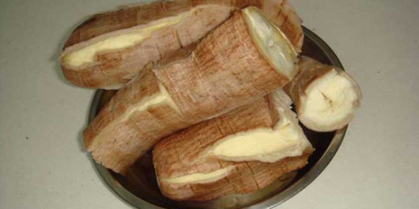 微信截圖_20230119091902