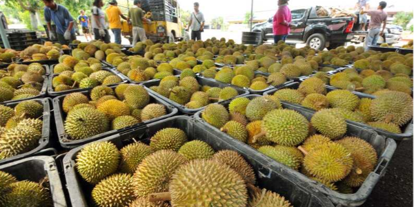 微信截圖_20230118102241