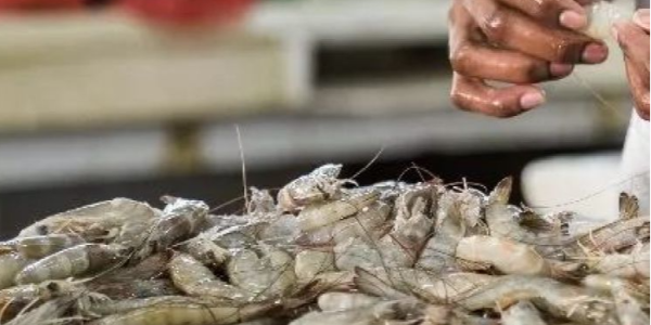 微信截圖_20230323084124