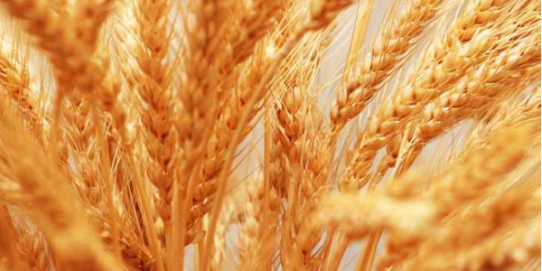 微信截圖_20230320090544