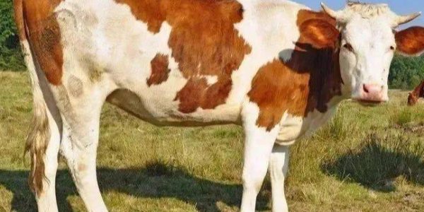 微信截圖_20230320083726