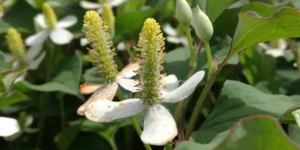 微信截圖_20230320084343