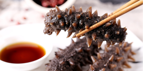 中國在斯里蘭卡投資建設(shè)海參養(yǎng)殖場加大產(chǎn)量