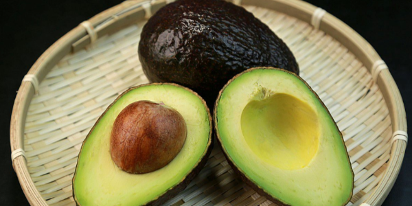 緬甸牛油果質(zhì)高價(jià)低，國際訂單紛至沓來