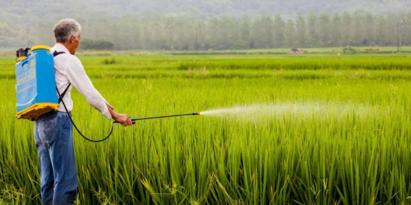 聯(lián)合國呼吁各方盡快消除俄羅斯糧食和化肥出口障礙