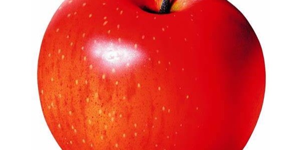 塞爾維亞蘋果獲得準(zhǔn)入，明年8月出口中國