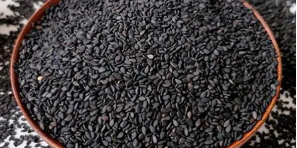 微信截圖_20230316085932