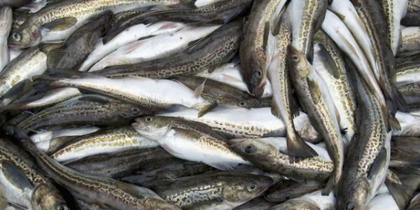 微信截圖_20230316090400