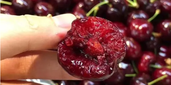 微信截圖_20230316083957