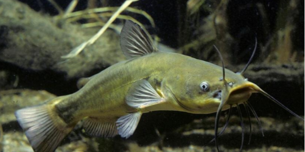 微信截圖_20220817092841