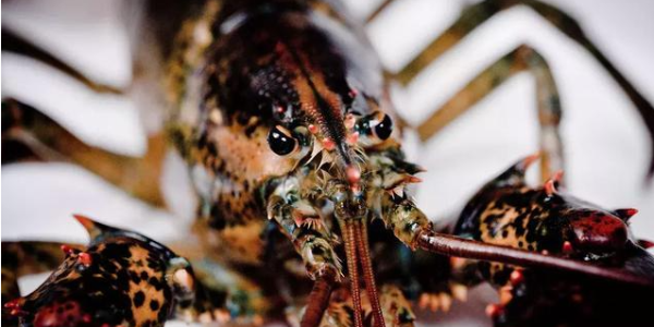 微信截圖_20230308091754