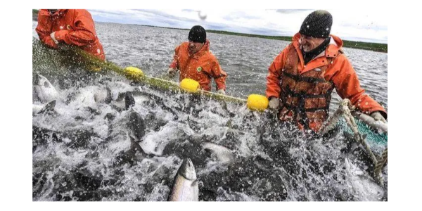 微信截圖_20230308084458