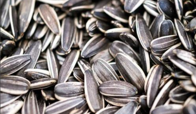 玻利維亞油籽和小麥生產(chǎn)商協(xié)會(huì)（Anapo）近日在一份報(bào)告中稱，2021年玻利維亞葵花籽出口額超1.36億美元，在全國(guó)非傳統(tǒng)出口產(chǎn)品中位列第四，僅次于大豆、珠寶和栗子。 玻利維亞《七頁(yè)報(bào)》報(bào)道，報(bào)告還稱，這些出口到全球的玻利維亞葵花籽中，主要流向厄瓜多爾（57%）和哥倫比亞（22%）。 全球范圍內(nèi)，玻利維亞葵花籽產(chǎn)量排名第13位。數(shù)據(jù)顯示，2016年到2021年間，玻利維亞葵花籽產(chǎn)量增加了約14.2萬(wàn)噸。 此外，圣胡利安（San Julián）是玻利維亞全國(guó)最大的葵花籽生產(chǎn)地。