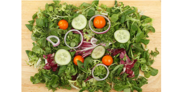 微信截圖_20230322092751