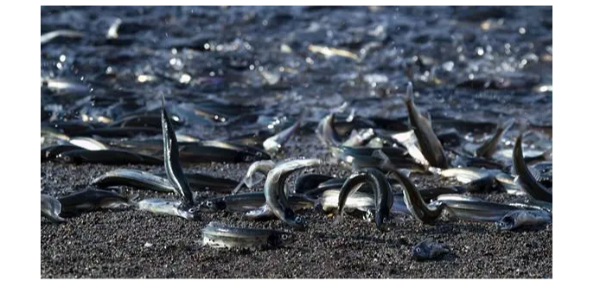 微信截圖_20230322084630