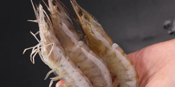 微信截圖_20230322092032