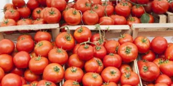 微信截圖_20230224091318