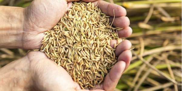 微信截圖_20230201100631