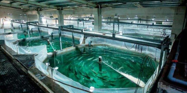 微信截圖_20230313091306