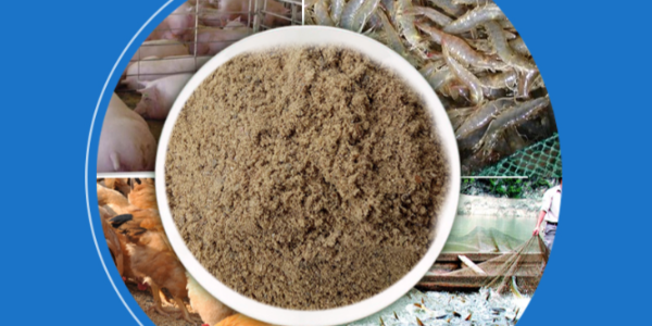 微信截圖_20230303090842