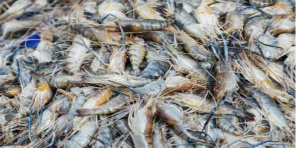 微信截圖_20230329091227