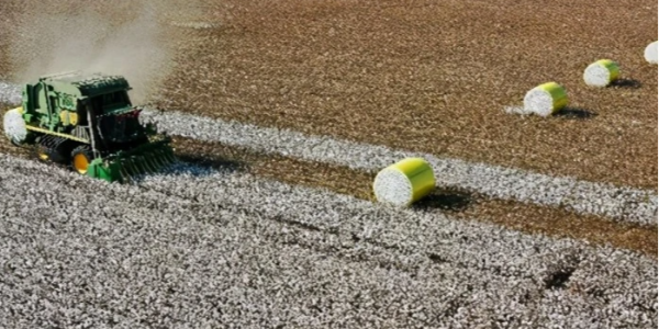 微信截圖_20230329084333