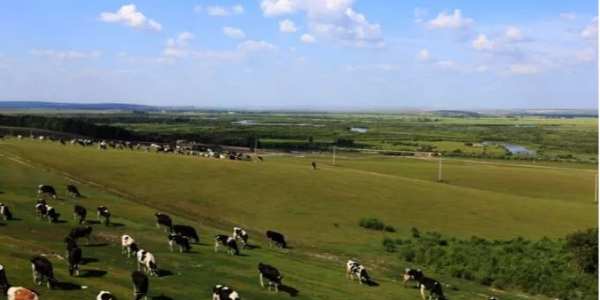 微信截圖_20230330092103